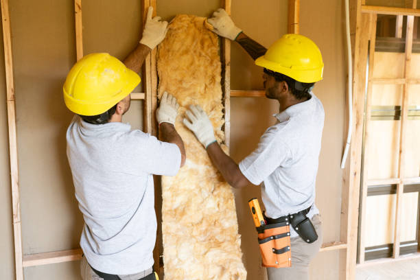 Best Insulation Removal Services  in Fairbanks Ranch, CA